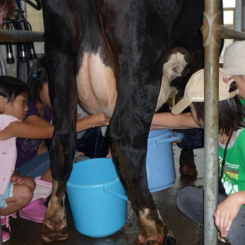 「乳牛から直接お乳をしぼろう！」循環型農業を体感しよう！