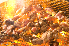 宮崎県の郷土料理　地鶏の炭火焼き
